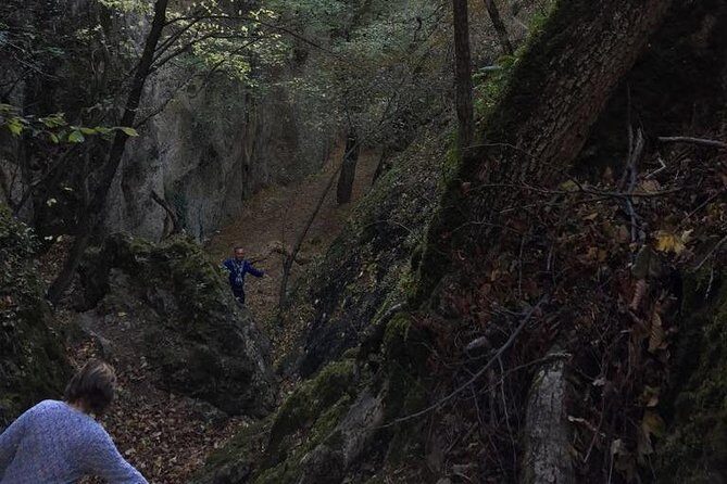 1 day hiking in Birtvisi Canyon from Tbilisi - Pickup and private group flow: how the logistics actually affect your day