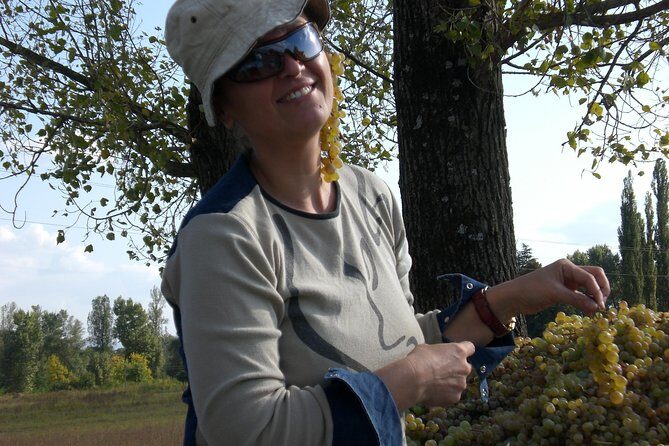 2-Day Private Wine Tour to Kakheti from Tbilisi - Day 1: Signagi wine culture and the first Kvevri tastings