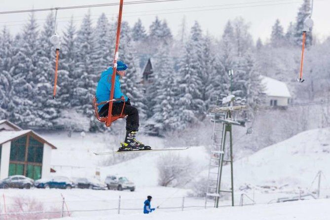 Bakuriani-Borjomi full day trip - Price and value: $65 for a private mountain-and-springs combo