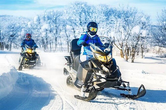 Bakuriani Ski Resort Private Day Tour from Tbilisi Snow Adventure - Why the Tbiliani-to-Bakuriani winter day works