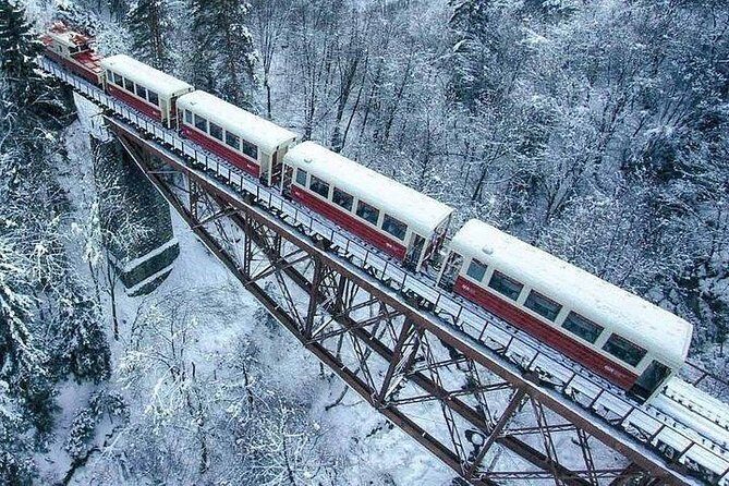 Bakuriani Ski Resort Private Day Tour from Tbilisi Snow Adventure - Borjomi Central Park and the national-park feeling in 45 minutes