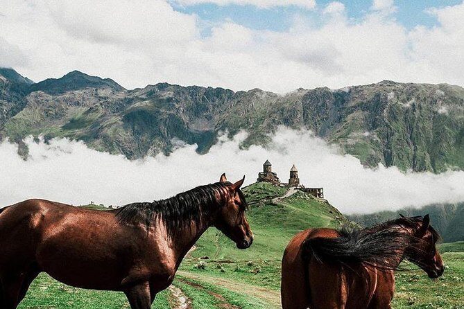 full day Kazbegi-Gudauri-jvari -from Tbilisi - Private Kazbegi–Gudauri: what your day looks like from Tbilisi
