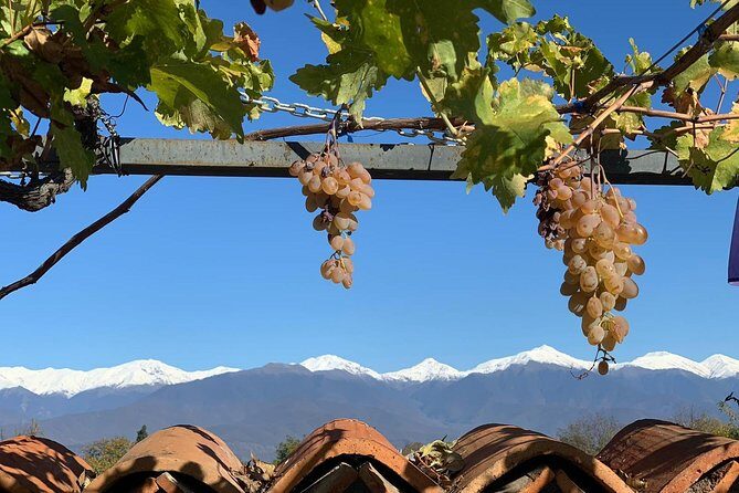 ️ Kakheti tour - Private Full Day Wine tour with Lunch and Wine tasting - Private day logistics from Tbilisi: how the 10 hours usually feel
