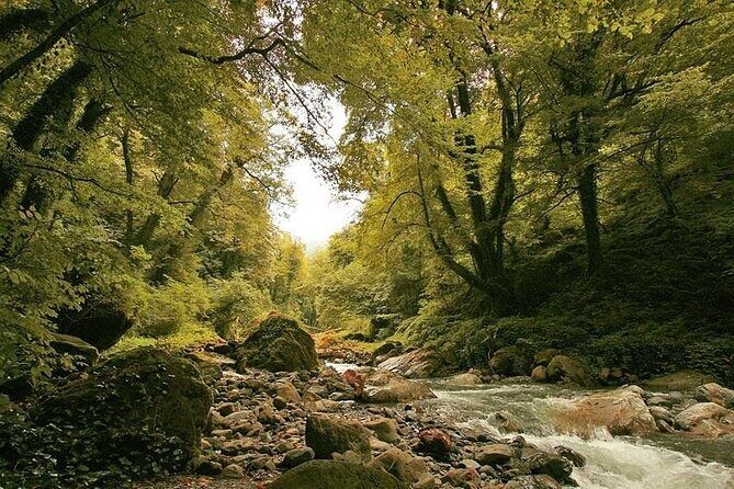 Lagodekhi - A day hiking from Tbilisi - The 8:00 AM Plan: How a 10-Hour Day Lays Out