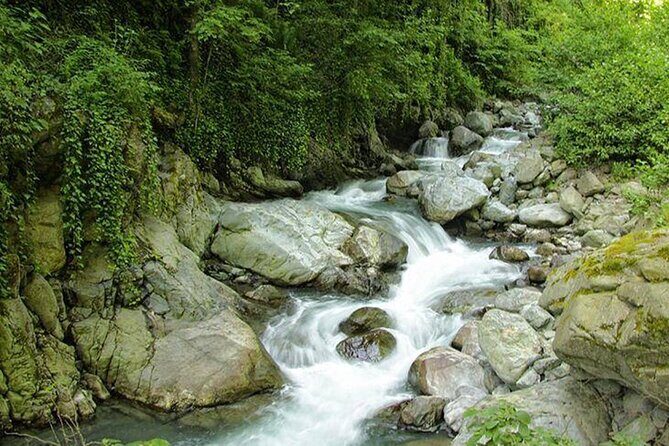 Lagodekhi - A day hiking from Tbilisi - Should You Book Lagodekhi for a Day Hike?