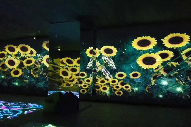 Museum of illusions,Digital Space and Ethnography in Tbilisi - Tbilisi Mall’s Digital Space: Surreal Screens and Short Visual Trips