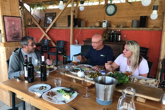 Natural Wine Tour to Kartli region, lunch & wine tasting at Andro Barnovi - Who this tour is best for (and who might want to skip it)