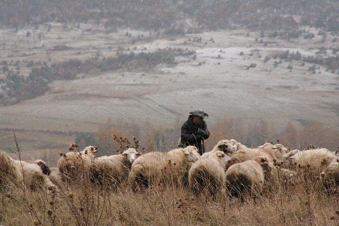 Private Tour to Kazbegi from Tbilisi - Key things to know before you go