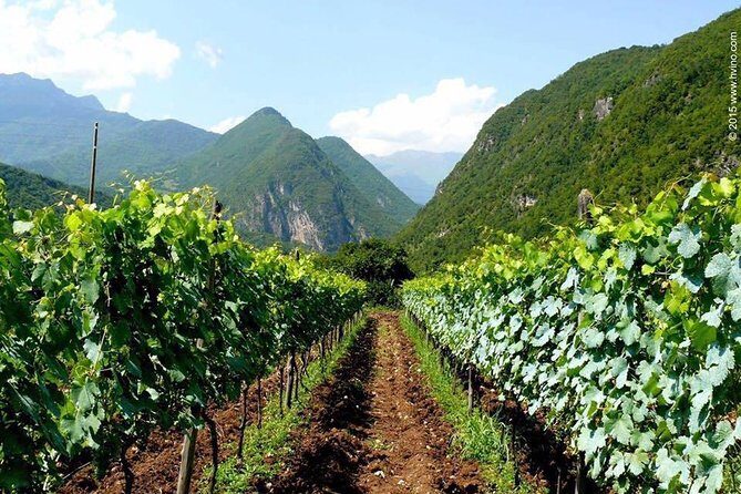 Private Tour to Mtskheta and Georgian Wine Tasting from Tbilisi - Jvari Monastery: hilltop views and legends you can actually picture