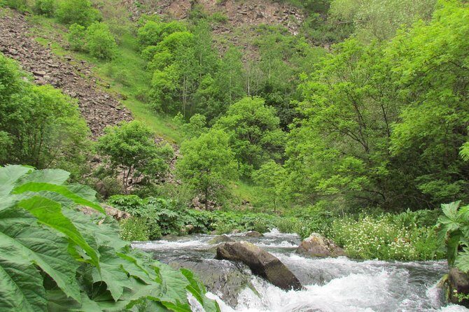 Trip to The Diamond Bridge and Dashbashi Canyon - Price and value: what you get for $69 per person